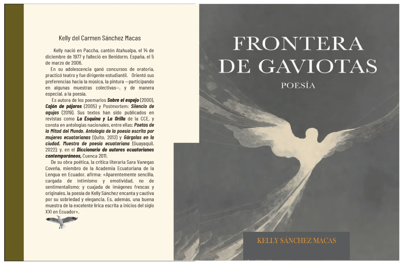 Portada y contraportada del libro Frontera de Gaviotas