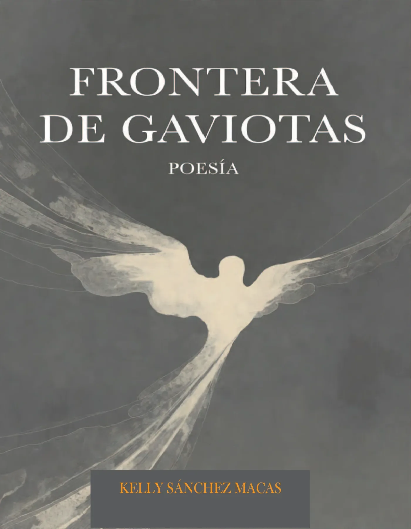 Portada del libro Frontera de Gaviotas